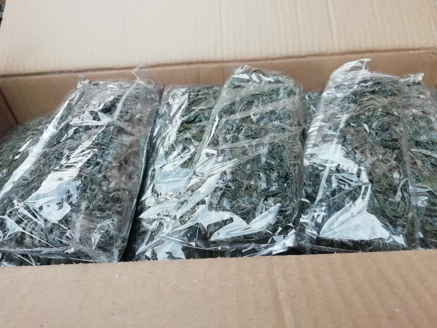 干海带分装密封保存