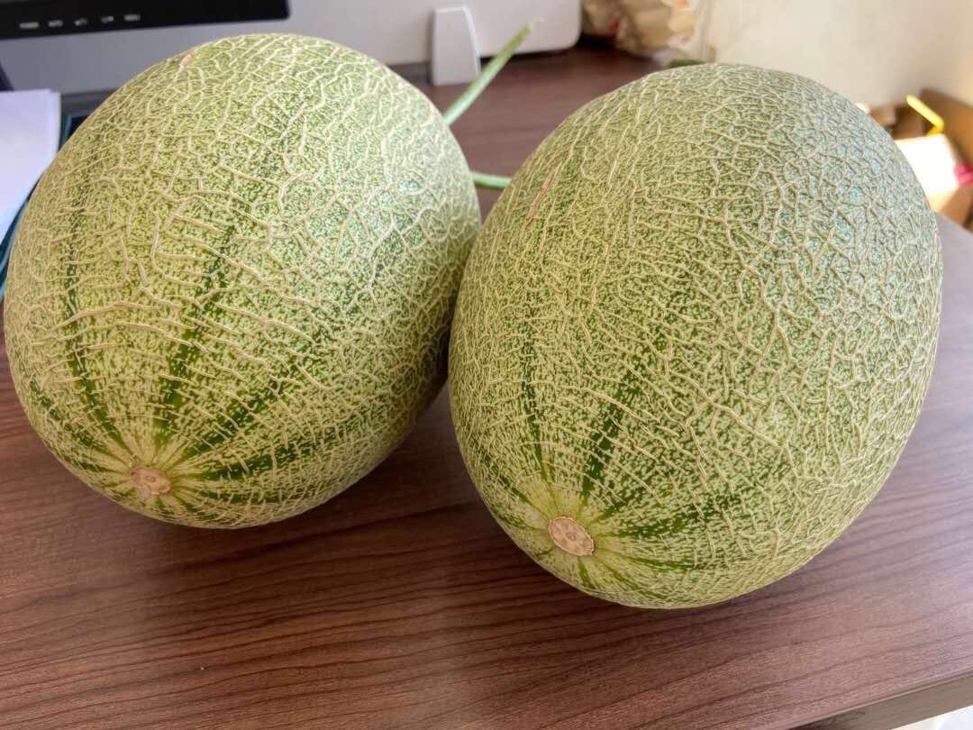 西州蜜瓜整颗外观特写