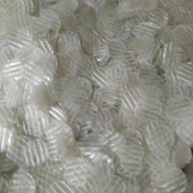 粉皮