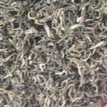 老树大叶茶绿茶明前春茶自产自销