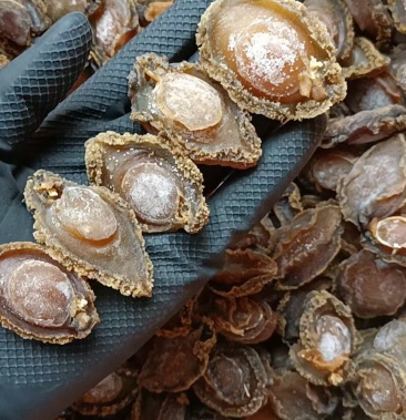 鲍鱼100头鲍鱼二级特惠大连鲍鱼1斤包邮