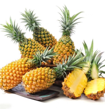 [菠萝苗批发]现货地菠萝苗凤梨苗盆栽果树苗四季种植苗南方北方种植果