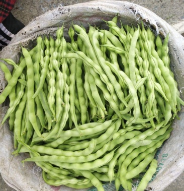 [芸豆批发]大青豆肉豆价格1.70元/斤 - 一亩田