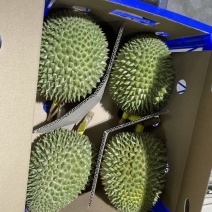 红沙土金枕头9kg2-3个505包邮