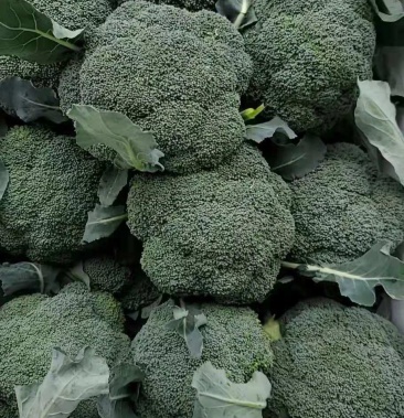 精品西兰花,小米花,色绿,色正,产地直发保证质量