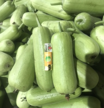 [菜瓜批发]白水瓜价格1.50元/斤 - 一亩田