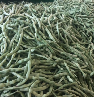 肉豆 饱满 货安逸得很 可多货拼车 随行就市