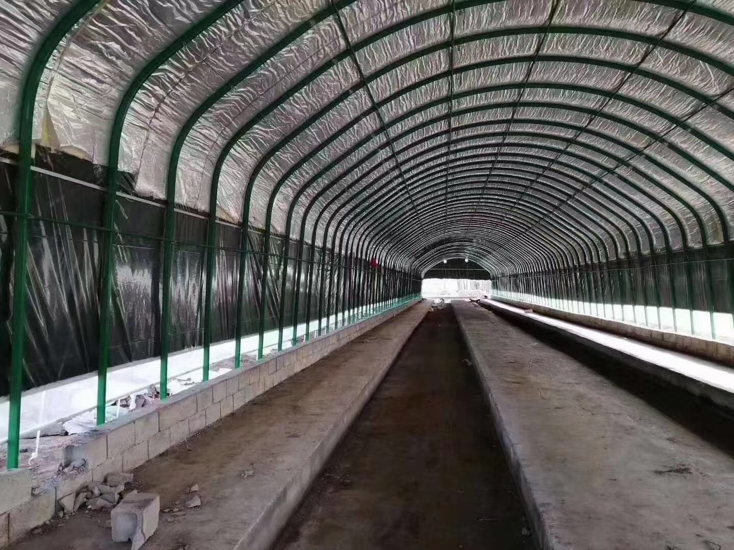 日光温室夏季高温闷棚现场,银黑双色地膜全覆盖,膜下土壤温度达48℃并持续7天以上,有效促进草铵膦及微生物代谢产物降解 设施大棚内进行石灰氮高温闷棚作业实景,覆盖银黑双色地膜,土壤表面有蒸汽微升,棚内悬挂温湿度记录仪显示温度48.3℃