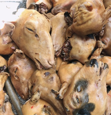 [羊头批发]火燎内蒙羔羊头,全国发货,纯绿色食品价格26.