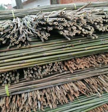 竹竿菜园搭架户外种菜豆角黄瓜竹杆架旗杆竹竿小竹子细竹竿子