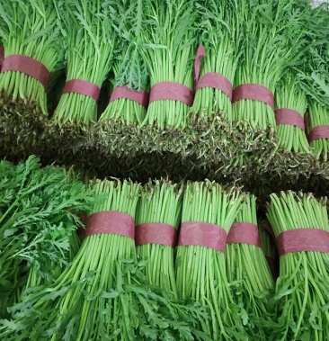 茼蒿质量好价格低欢迎全国各地老板前来订购