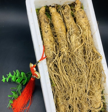 40根80元/斤一斤10根110元/斤一斤7根130元/斤立即订购赵春阳个人等级