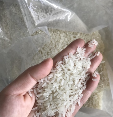[大米批发]20年丹东东港大米价格5.00元/斤 - 一亩田