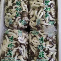 秀珍菇