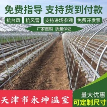 大棚蔬菜大棚草莓大棚种植西瓜大棚简易大棚安全有保障