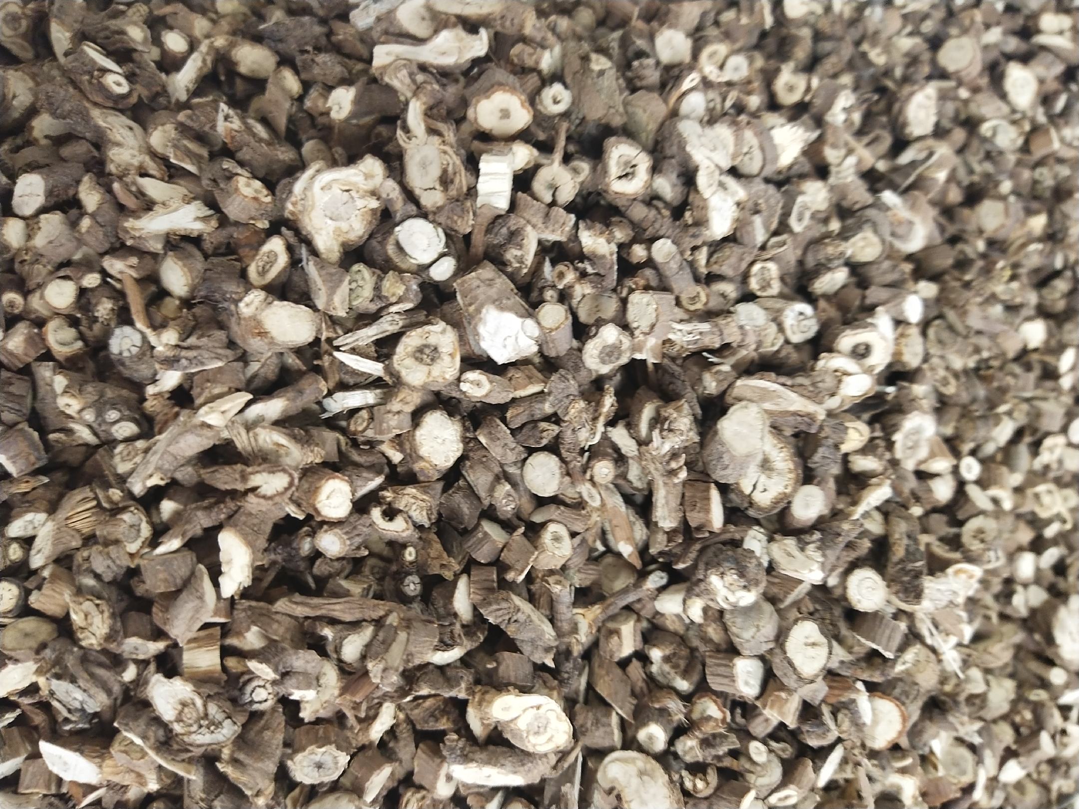 北柴胡药材标本图