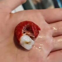 龙虾尾