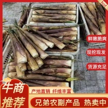 【精品】竹笋苦笋优质高山苦笋货源充足全国发货，品质
