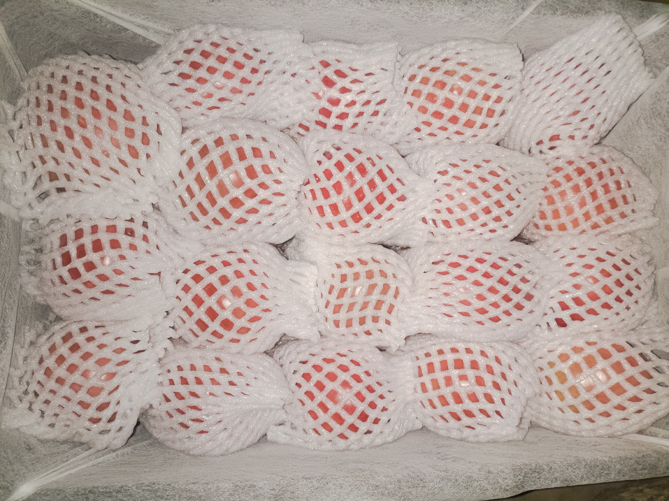 普罗旺斯番茄种子包装展示