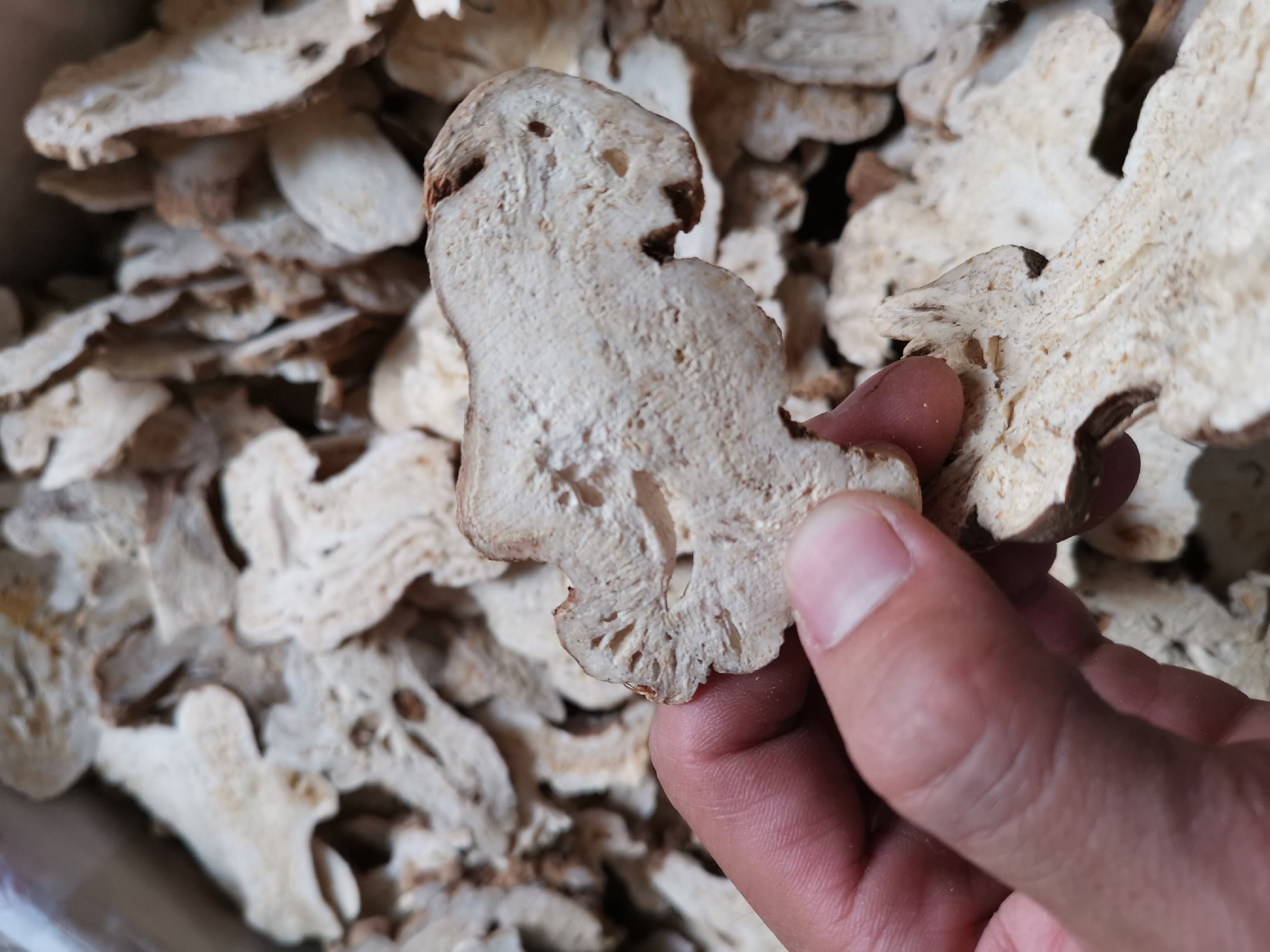 中药煎煮场景中的白术片