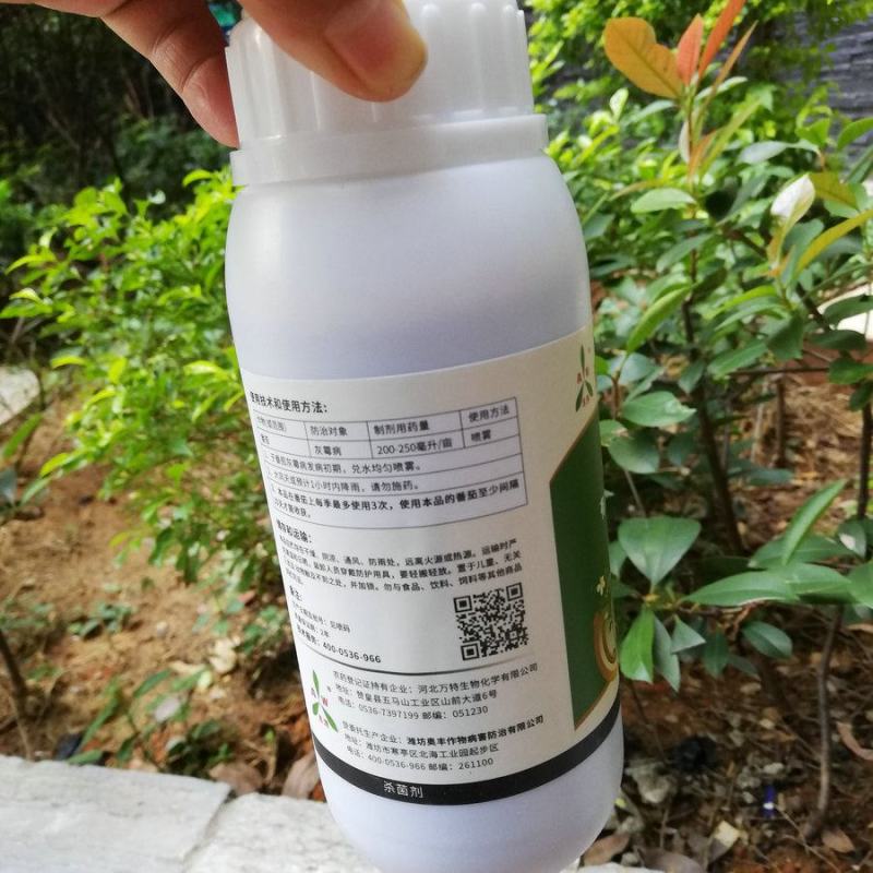 奥丰生物奥力克青枯立克青枯立枯杀菌剂西红柿西瓜