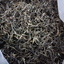 版纳生态茶