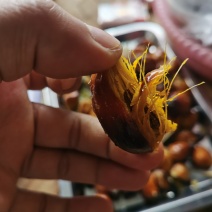 泰国油棕