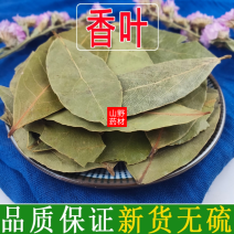 无硫新货香叶500g包邮