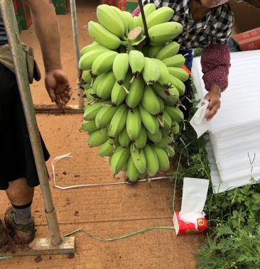 [苹果蕉批发]苹果蕉价格1.50元/斤 - 一亩田