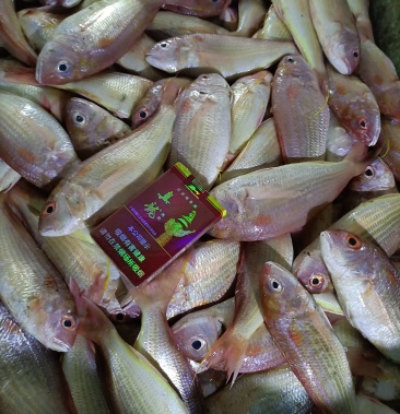 [批发]红彬鱼价格7.00元/斤 - 一亩田