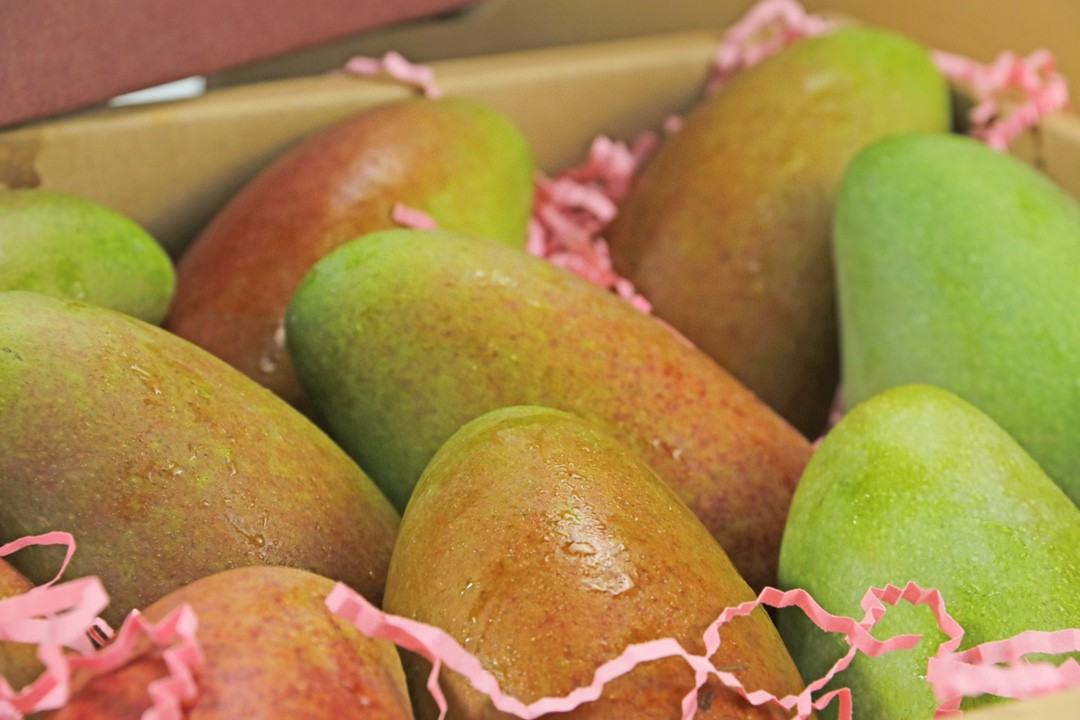 贵妃粉芒果整箱装与单果特写