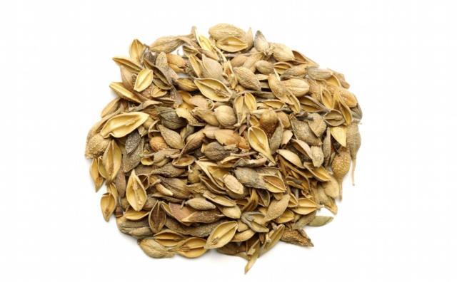青翘茶饮成品图,展示泡好的青翘茶与干品对比 青翘茶饮成品图
