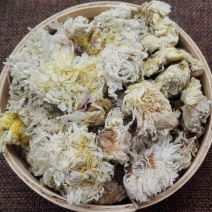 中药材菊花药用河北菊花河北白菊花批发各种中药材量大从