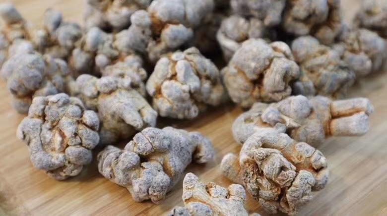 冻干三七成品展示图