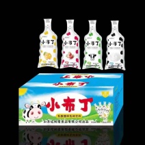 达利园小布丁《电商专供》厂家生产直销全国代理商