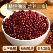 红豆红小豆各种规格正品保证质量无理由退货退款