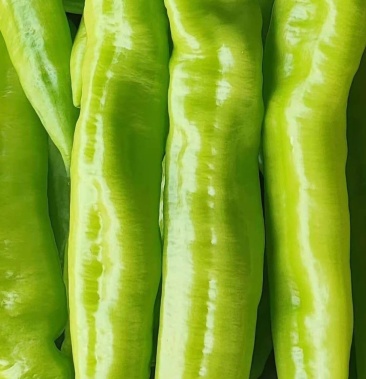 青椒 尖椒 麻椒 产地直发 超市专供