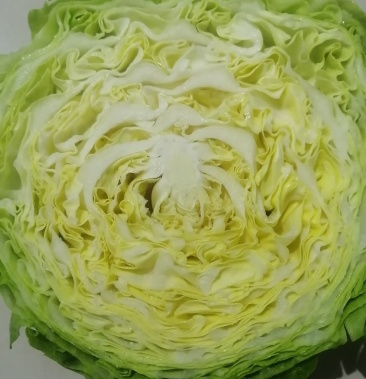 [甘蓝批发]韩绿甘蓝价格0.60元/斤 - 一亩田