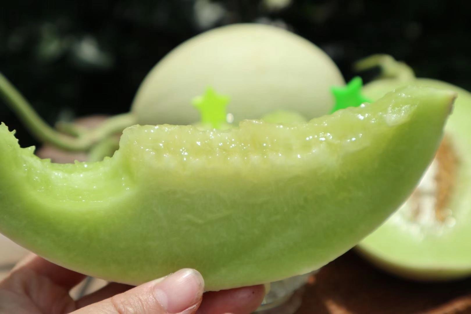 玉菇甜瓜熟果切开展示与食用场景