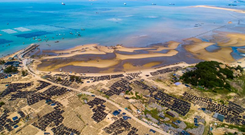 中国黄渤海沿岸海带养殖场