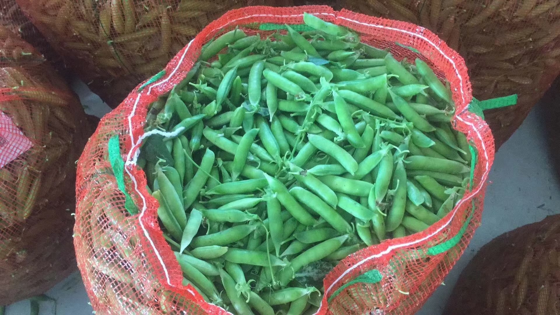 绿宝豌豆夹电商包装与冷链运输场景