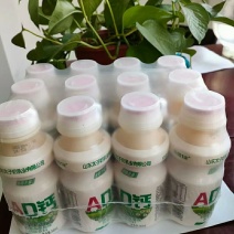 乳酸菌，鹿角巷。