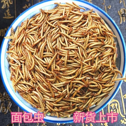 福建厦门同安区黄粉虫价格行情走势 - 一亩田