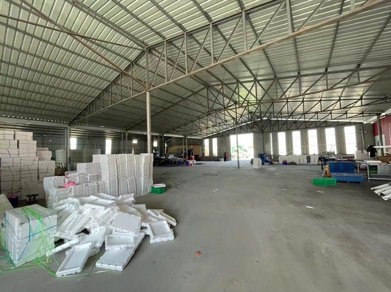 采摘工人正在分拣包装釜山88圣女果