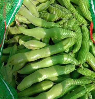 [蚕豆批发]蚕豆价格1.60元/斤 - 一亩田