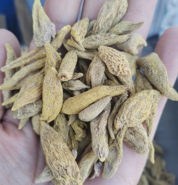 [郁金批发]金丝郁金 黄丝郁金 川郁金正品 无硫无添加 高含量价格180.