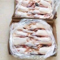麻鸭仔麻鸭水鸭泥鸭白条麻鸭长期稳定供应