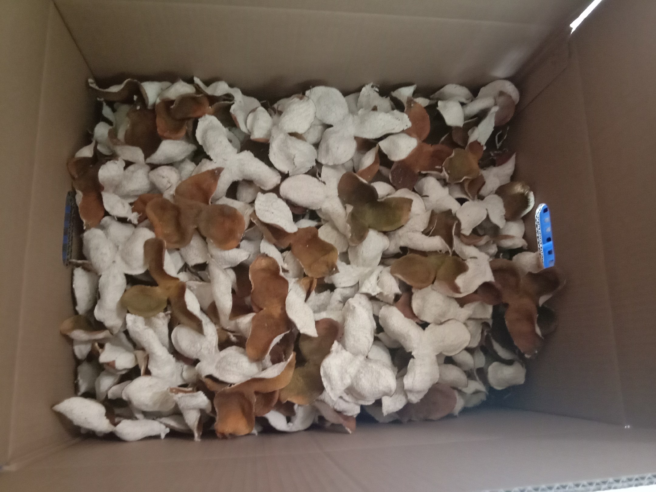 小青柑保存方式示意图