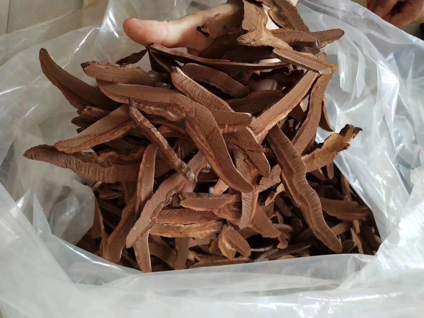 灵芝储存对比示意图