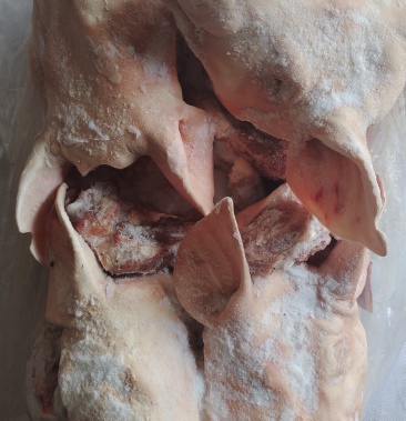 [猪头批发]猪头价格6.50元/斤 - 一亩田